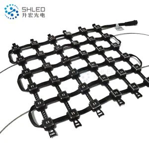 Pantalla LED transparente para elevador turístico